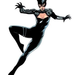 CATWOMAN #69 CVR D DANIEL SAMPERE ALL IN FOIL VARIANT - Afbeelding 2